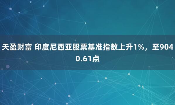 天盈财富 印度尼西亚股票基准指数上升1%，至9040.61点